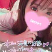 ヒメ日記 2025/06/12 15:50 投稿 ココロ バニーコレクション新潟店