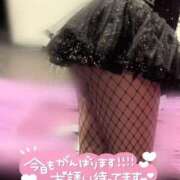 ヒメ日記 2025/06/14 09:44 投稿 ココロ バニーコレクション新潟店