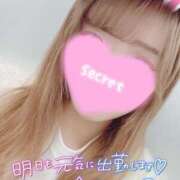 ヒメ日記 2025/06/14 13:44 投稿 ココロ バニーコレクション新潟店