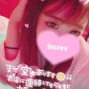 ヒメ日記 2025/07/01 12:50 投稿 ココロ バニーコレクション新潟店