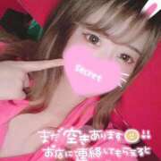 ヒメ日記 2025/07/08 19:09 投稿 ココロ バニーコレクション新潟店