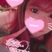 ヒメ日記 2025/08/03 11:47 投稿 ココロ バニーコレクション新潟店