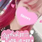 ヒメ日記 2025/08/08 10:25 投稿 ココロ バニーコレクション新潟店