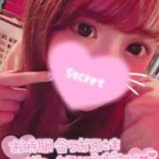 ヒメ日記 2025/09/10 09:43 投稿 ココロ バニーコレクション新潟店