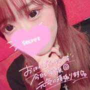 ヒメ日記 2025/09/12 08:38 投稿 ココロ バニーコレクション新潟店