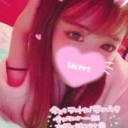 ヒメ日記 2025/10/14 09:42 投稿 ココロ バニーコレクション新潟店