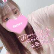 ヒメ日記 2025/12/07 18:28 投稿 ココロ バニーコレクション新潟店