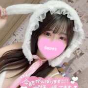 ヒメ日記 2025/12/11 15:32 投稿 ココロ バニーコレクション新潟店