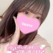 ヒメ日記 2025/12/13 14:02 投稿 ココロ バニーコレクション新潟店