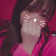 ヒメ日記 2026/02/02 13:24 投稿 ココロ バニーコレクション新潟店