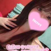 ヒメ日記 2026/02/02 17:01 投稿 ココロ バニーコレクション新潟店