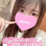 ヒメ日記 2026/04/01 13:54 投稿 ココロ バニーコレクション新潟店