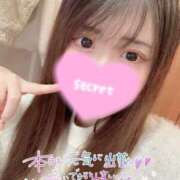 ヒメ日記 2026/04/03 14:24 投稿 ココロ バニーコレクション新潟店