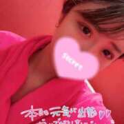 ヒメ日記 2026/04/04 13:24 投稿 ココロ バニーコレクション新潟店