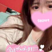 ヒメ日記 2026/04/07 13:56 投稿 ココロ バニーコレクション新潟店