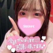 ヒメ日記 2026/06/05 14:45 投稿 ココロ バニーコレクション新潟店