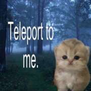 ヒメ日記 2025/03/26 07:55 投稿 ひつじ 大久保ハンドメイド