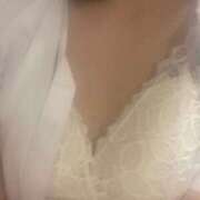 ヒメ日記 2025/04/27 14:03 投稿 ひつじ 大久保ハンドメイド