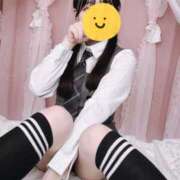 ヒメ日記 2025/05/21 12:31 投稿 ひつじ 大久保ハンドメイド