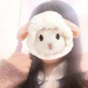 ヒメ日記 2025/06/11 21:18 投稿 ひつじ 大久保ハンドメイド