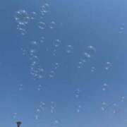 ヒメ日記 2025/03/24 17:25 投稿 杏(アン) 翡翠の夢