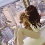 ヒメ日記 2025/05/13 21:15 投稿 杏(アン) 翡翠の夢