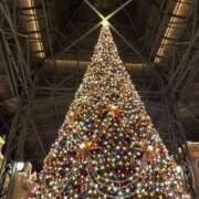 ヒメ日記 2024/12/25 12:03 投稿 米沢 BBW横浜店