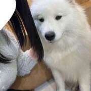 るい 白いの♡ 君とふわふわプリンセスin本庄