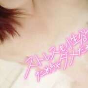 ヒメ日記 2024/12/21 14:10 投稿 ここね 君とふわふわプリンセスin本庄