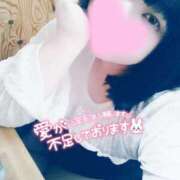 ヒメ日記 2024/12/24 23:19 投稿 ここね 君とふわふわプリンセスin本庄