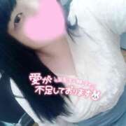 ヒメ日記 2025/02/24 14:34 投稿 ここね 君とふわふわプリンセスin本庄