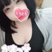 ヒメ日記 2025/05/21 14:39 投稿 ここね 君とふわふわプリンセスin本庄