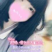 ヒメ日記 2025/09/14 10:18 投稿 ここね 君とふわふわプリンセスin本庄