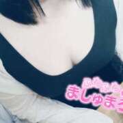 ヒメ日記 2025/09/15 10:18 投稿 ここね 君とふわふわプリンセスin本庄