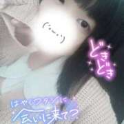 ヒメ日記 2025/10/27 15:59 投稿 ここね 君とふわふわプリンセスin本庄