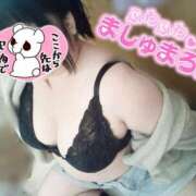 ヒメ日記 2025/10/31 19:24 投稿 ここね 君とふわふわプリンセスin本庄