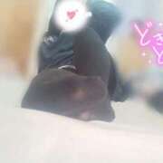 ヒメ日記 2025/11/01 12:14 投稿 ここね 君とふわふわプリンセスin本庄