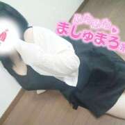 ヒメ日記 2025/11/11 11:06 投稿 ここね 君とふわふわプリンセスin本庄