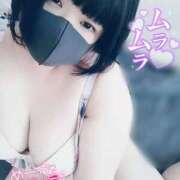 ヒメ日記 2025/11/11 18:44 投稿 ここね 君とふわふわプリンセスin本庄