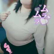 ヒメ日記 2025/11/26 12:33 投稿 ここね 君とふわふわプリンセスin本庄