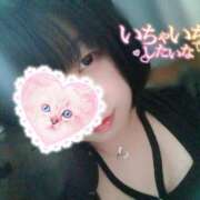 ヒメ日記 2026/02/03 13:20 投稿 ここね 君とふわふわプリンセスin本庄