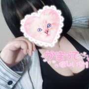 ヒメ日記 2026/02/06 11:49 投稿 ここね 君とふわふわプリンセスin本庄