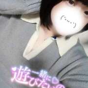 ヒメ日記 2026/03/31 09:59 投稿 ここね 君とふわふわプリンセスin本庄