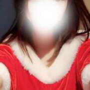 ヒメ日記 2024/12/26 00:00 投稿 ことり 世界のあんぷり亭 新宿総本店