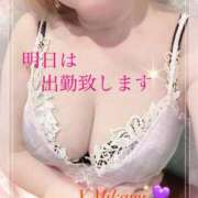 ヒメ日記 2025/05/01 23:55 投稿 三上　ゆりか しこたま奥様 札幌店