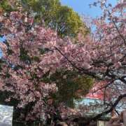 ヒメ日記 2025/03/28 19:00 投稿 つき先生 美少女制服学園CLASSMATE　五反田校