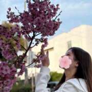 ヒメ日記 2025/03/25 12:05 投稿 ほのか CECIL