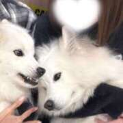 ヒメ日記 2025/10/25 11:06 投稿 ほのか CECIL