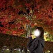 ヒメ日記 2025/11/10 17:01 投稿 ほのか CECIL