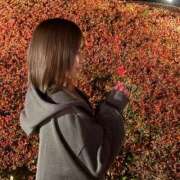 ヒメ日記 2025/11/24 13:07 投稿 ほのか CECIL